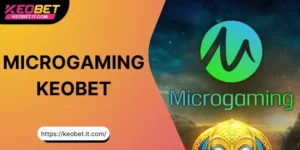ภาพรวมเกี่ยวกับผู้ให้บริการเกม Microgaming