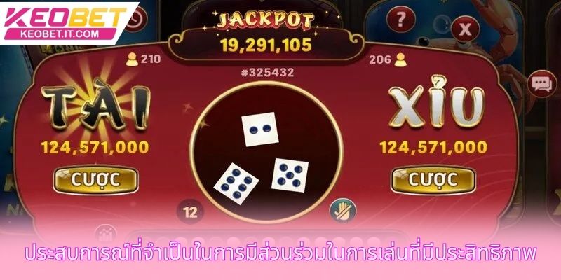 ประสบการณ์ที่จําเป็นในการมีส่วนร่วมในการเล่นที่มีประสิทธิภาพ