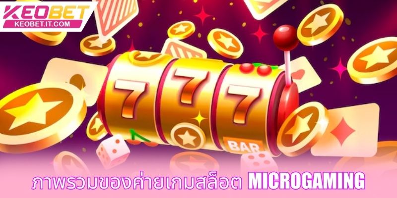 ภาพรวมของค่ายเกมสล็อต Microgaming