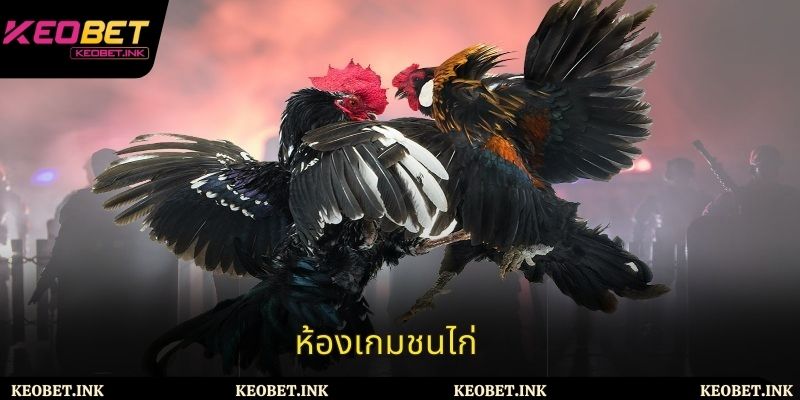 ห้องเกมชนไก่