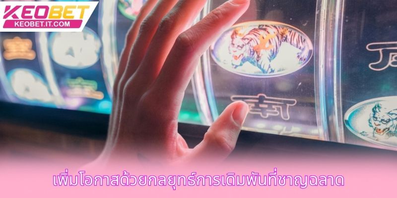 เพิ่มโอกาสด้วยกลยุทธ์การเดิมพันที่ชาญฉลาด