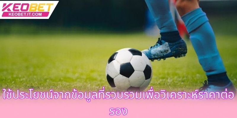 ใช้ประโยชน์จากข้อมูลที่รวบรวมเพื่อวิเคราะห์ราคาต่อรอง