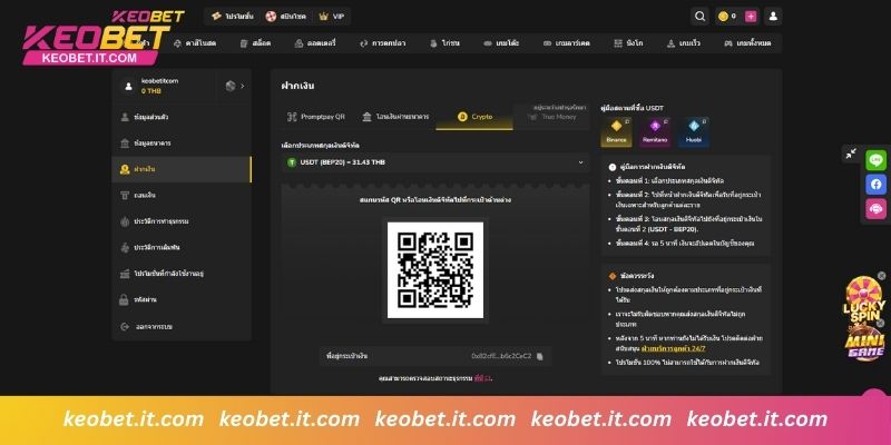 ฝากเงินด้วย Crypto (USDT)