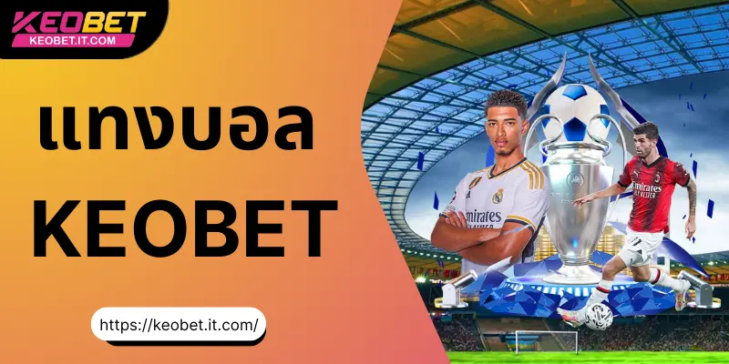 คู่มือพนันบอลแบบละเอียด